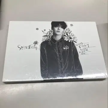 YESUNG / Spring Falling 일반ver 미개봉 새상품