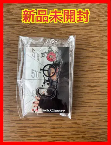 Acid Black Cherry 언제나 함께 2단 키링 Q.E.D