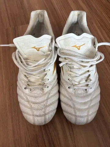 미즈노 모나르시다 네오 25.5