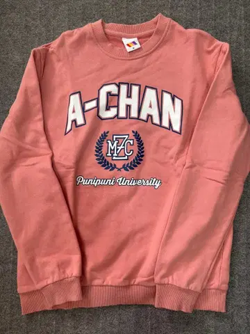 모모이로 클로버 Z 사사키 아야카 모노노후 학원 트레이닝복 M 사이즈