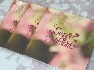 앙스타 스타포니 4th 입장 혜택 팜플렛 3점