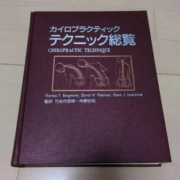 카이로프랙틱 테크닉 총람