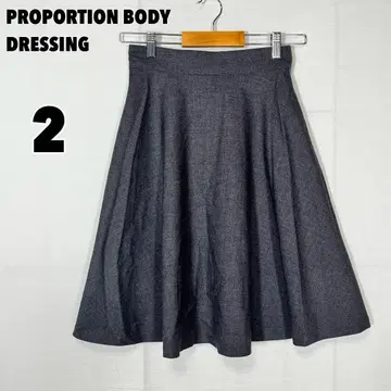 프로포션 바디 드레싱 (2) 플레어 스커트