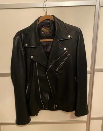 이펙트 더블 라이더스