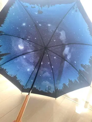 세카오와 우산 레인즈