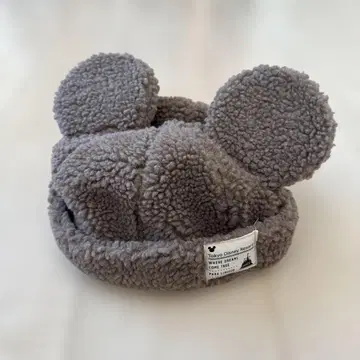 디즈니 보아캡 브라운