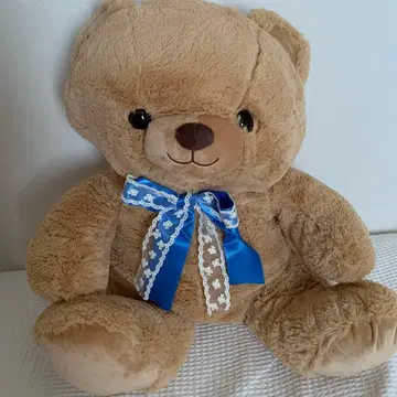 BIG 곰 봉제 인형