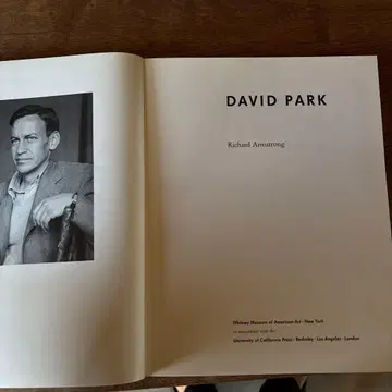 DAVID PARK by Richard Armstrong