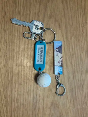 하이큐 아오바죠사이 밸리부 키링