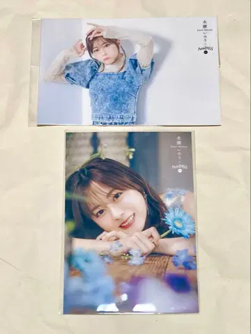 Ani-PASS Plus #16 혜택 3개