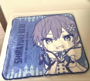 네오포르테 백설 레이드