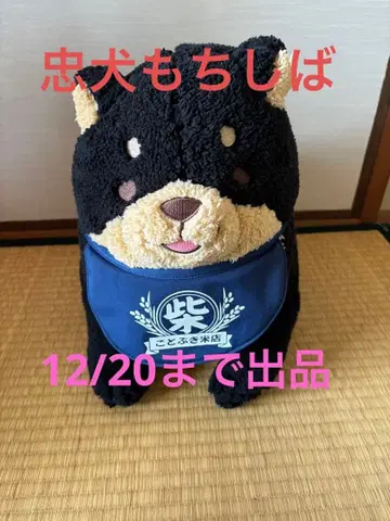 충견 모치시바 봉제 인형