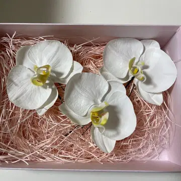 헤어 액세서리 팔레놉시스 (소) 3세트