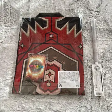 EXILE THE REASON 업그레이드 굿즈 하피 스트랩 패스 플래그