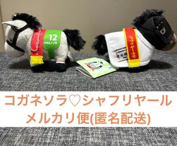 코가네노소라 퀸 스테이크스 서러브레드 컬렉션 샤프리야르