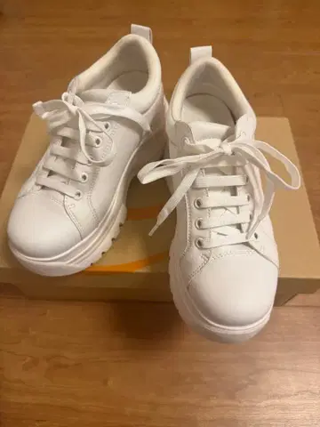 스즈키 아미 통굽 스니커즈 S 사이즈