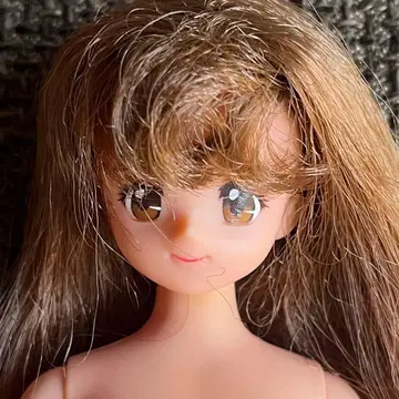 리카짱 인형 제니 프렌드 릴리안