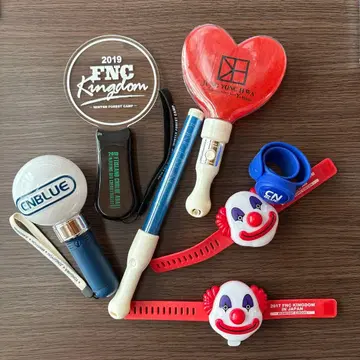 cnblue FNC KINGDOM 용화