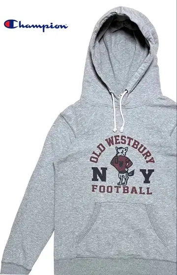 Champion 파일 안감 염색 프린트 후드티