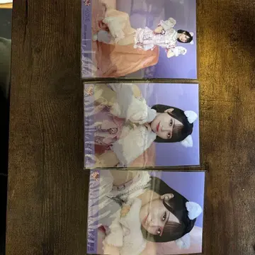 사사키 마이카 고양이 의상 컴프 3장 세트