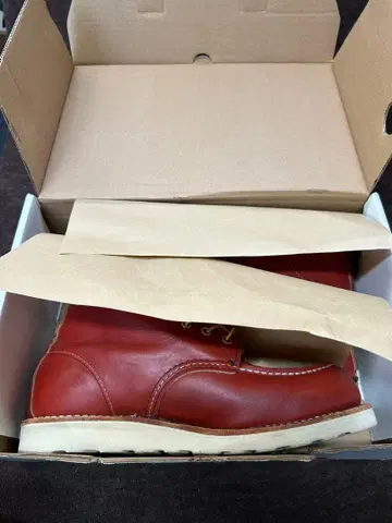 레드윙 아이리쉬 세터 8875