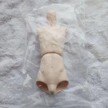 돌피드림 DDB 인형 바디 상반신 하반신 세트