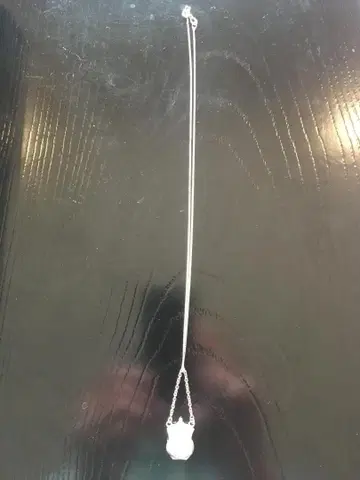 Ari D Norman 참 목걸이