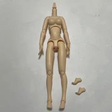 아존 1/6 퓨어니모2 모션 M LL 가슴 화이트