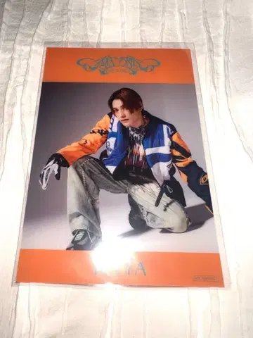 ONE N' ONLY 원엔 테타 클리어 시트 AMAZONIA