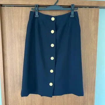 l'heritage 마르티니크 네이비 스커트