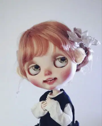 커스텀 브라이스 작가님