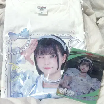 iLiFE! 무도관 가라폰 A상 F상 실사 셔츠 클리어 카드 의자