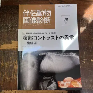 반려동물 영상 진단 No.28 복부 대비 이상 - 복강편 -