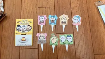 치이카와 코코스 콜라보 정리