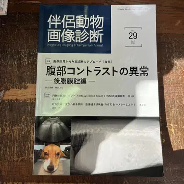 반려동물 영상 진단 No. 29 복부 대비 이상 후복막강 편