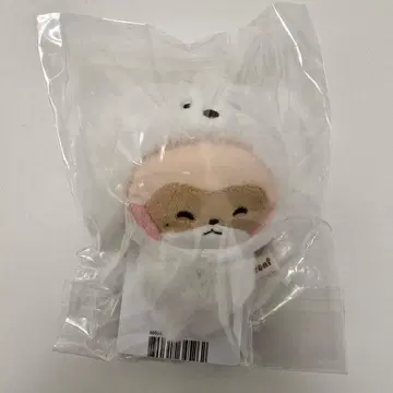 장하오 zeroni 하니니 마그넷 사진 홀더 봉제 인형 제베원