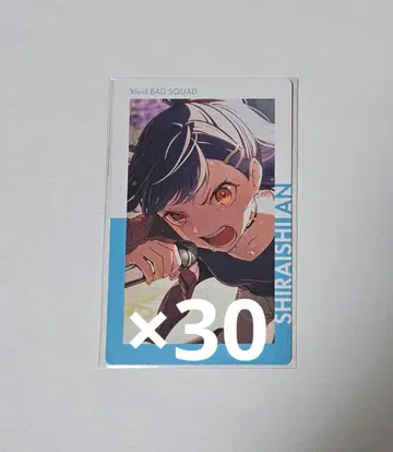 시라이시 안 프로세카 22B 에피카 열화