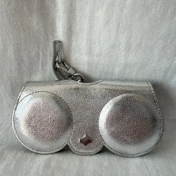 ANY DI 실버 안경 케이스