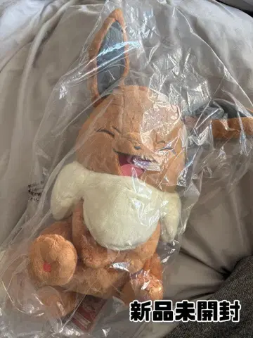 이브이 제일복권 B상 봉제 인형