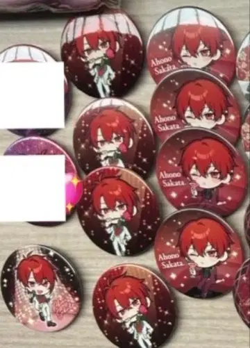 시마사카 아호노 사카타 토나리노 사카타 캔뱃지