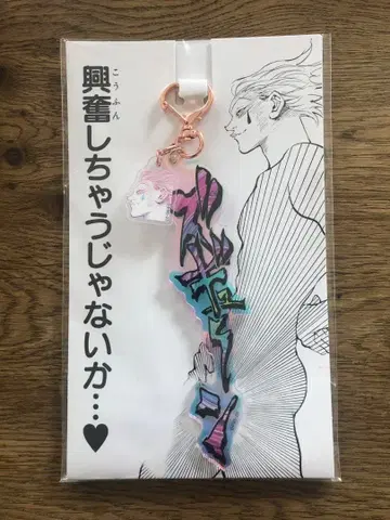 히소카 즈기운 HUNTER x HUNTER 아크릴 키링 토가시 요시히로전