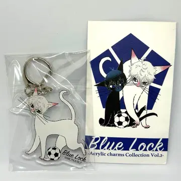 블루 록 블랙 고양이 디자인 RE:SHAZAM 나기 세이시로 아크릴 키링