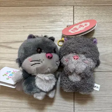 루시퍼 우루포챠짱 2세트