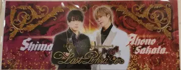 시마사카 벌스데이 라이브 오리챤풍 응원봉 시트