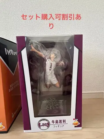 히나타 쇼요 우시지마 와카토시 1번 복권 피규어