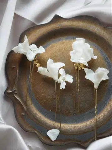 coussinet 파히움 핑