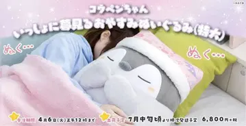 [공식 한정] 코우펜짱 함께 꿈꾸는 잠옷 봉제 인형 (특대형)