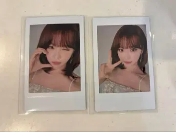 르세라핌 도쿄돔 공연 채원 폴라로이드