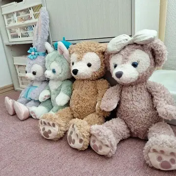 더피 셰리 메이 젤라토 스텔라 루