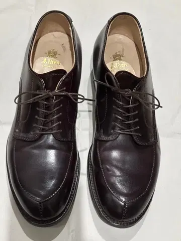 ALDEN V-TIP SHOES